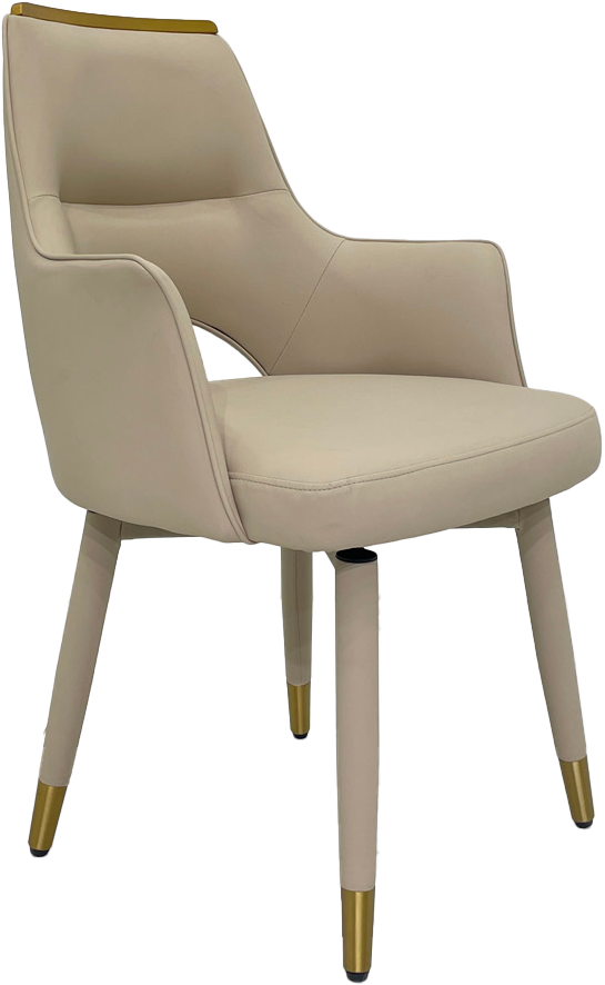 Rotating & Spring-Back Dining Chair