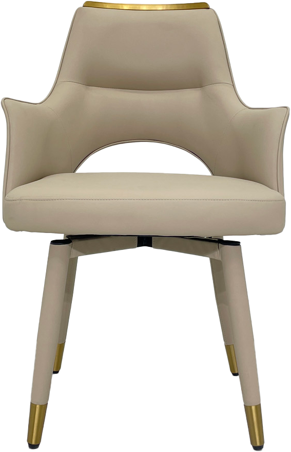 Rotating & Spring-Back Dining Chair